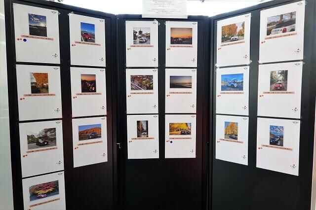 DSC05803 (2)-640.jpg