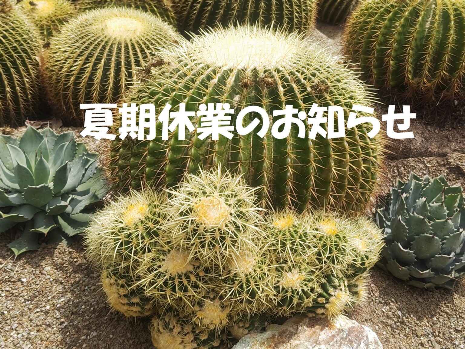 夏期休業のお知らせ2025-1536x1152.jpg