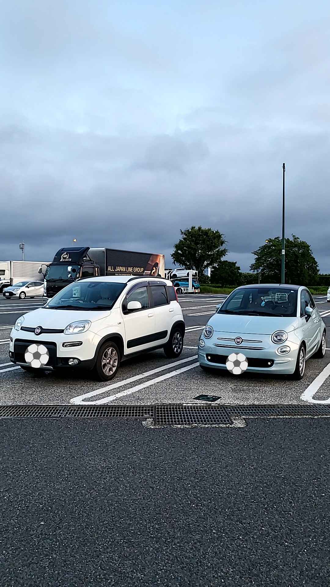 パンダさん(アルファロメオ氏愛車)