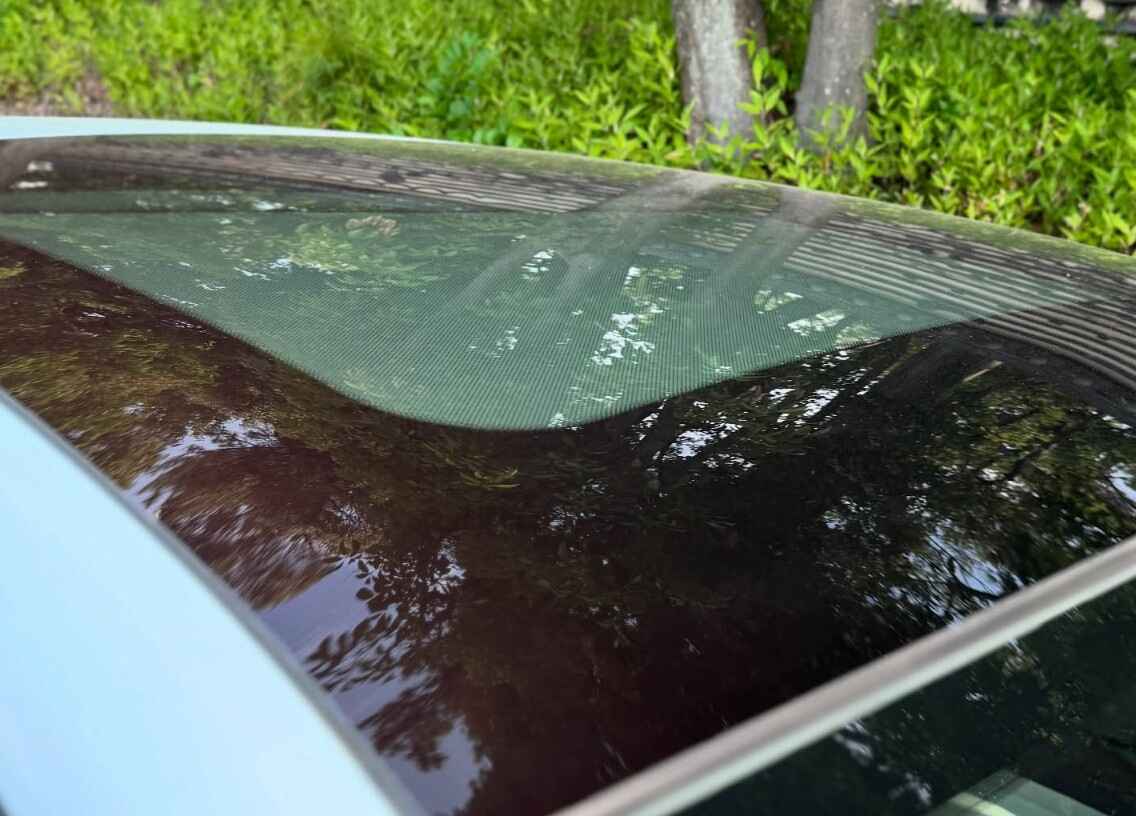 スクリーンショット 2025-07-31 221429.jpg