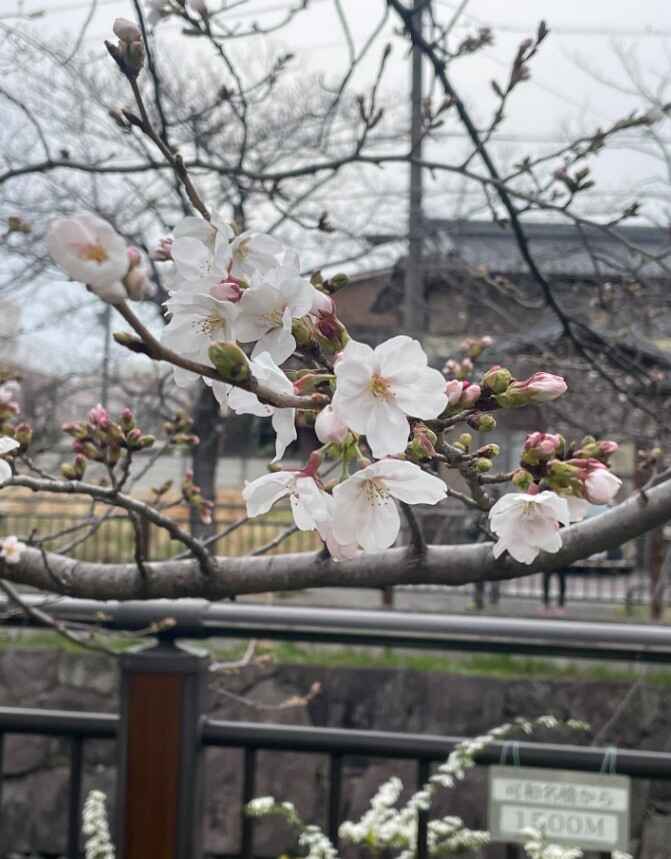 スクリーンショット 2026-03-24 213357.jpg