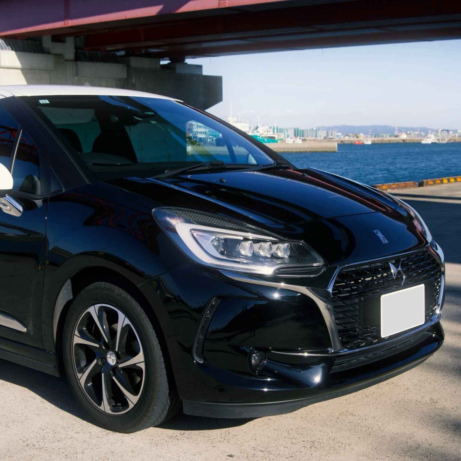 DS3